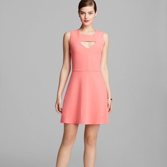 French Connection Dresses & Skirts - French Connection Feather Ruth Fit Flare Dress 10